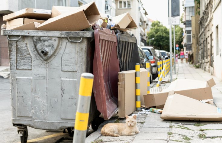 How Renting a Dumpster Simplifies Home Cleanouts